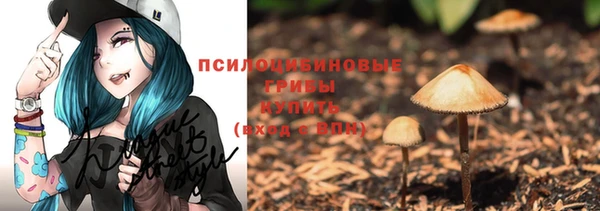 спиды Дмитров