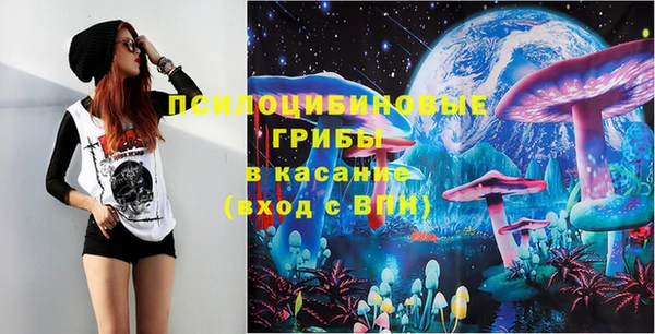 меф Дмитриев