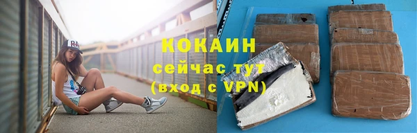 меф Дмитриев