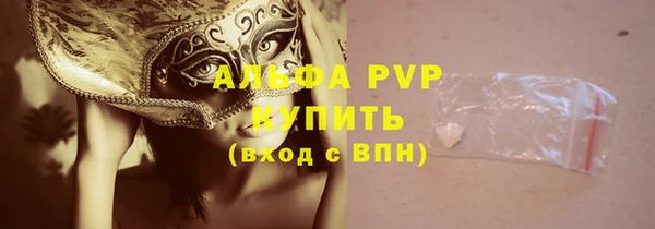 меф Дмитриев