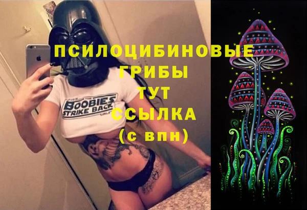 спиды Дмитров