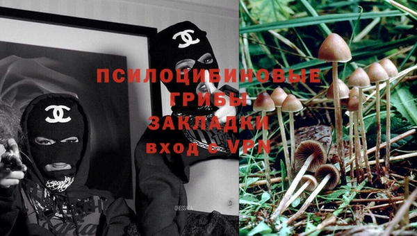 меф Дмитриев